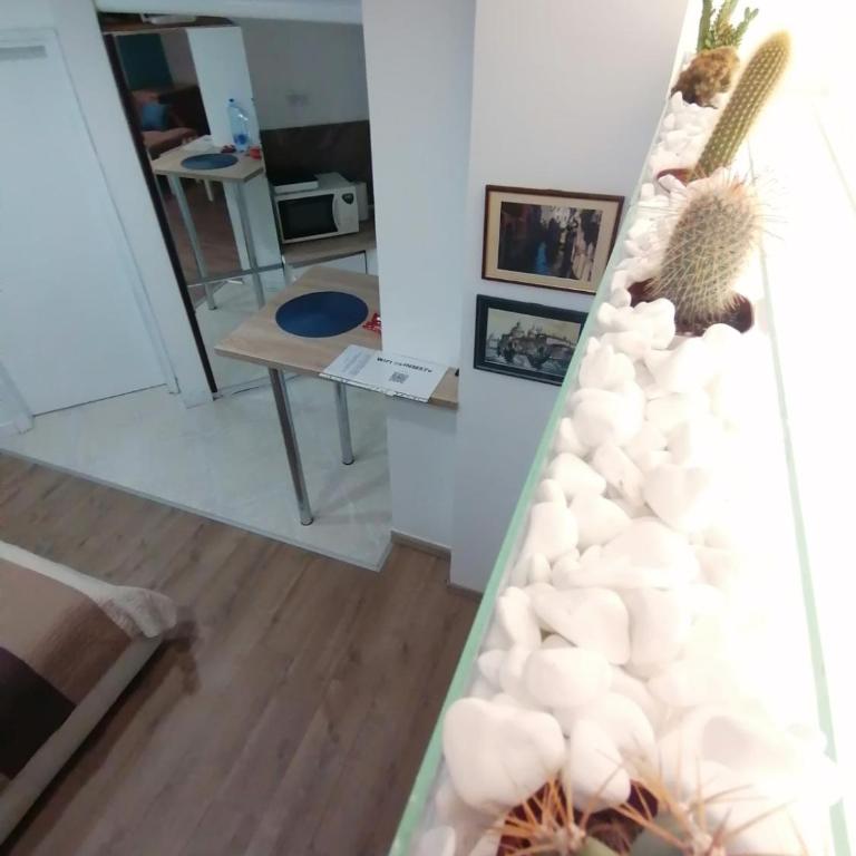 Apartman Dunja S - Apartman sa 1 Spavaćom Sobom - 16