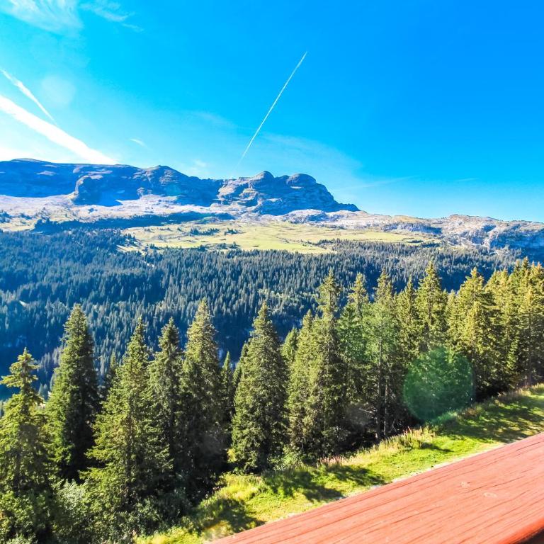 South facing 2-bed apartment with fireplace, Terrasses dEos - Appartement avec Vue sur la Montagne - 18