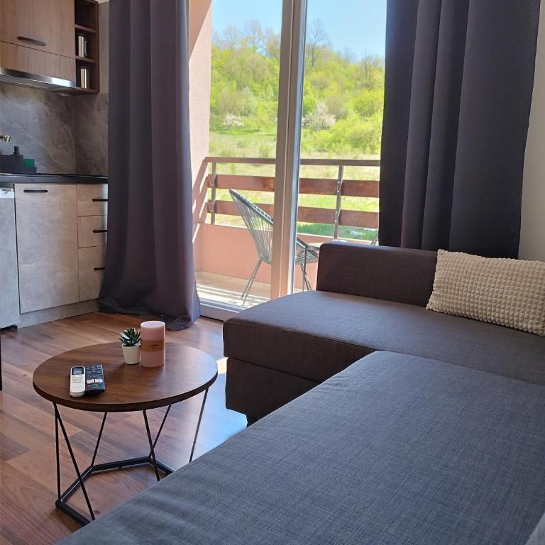 Apartmani ZAT - Apartman sa 1 Spavaćom Sobom - 9
