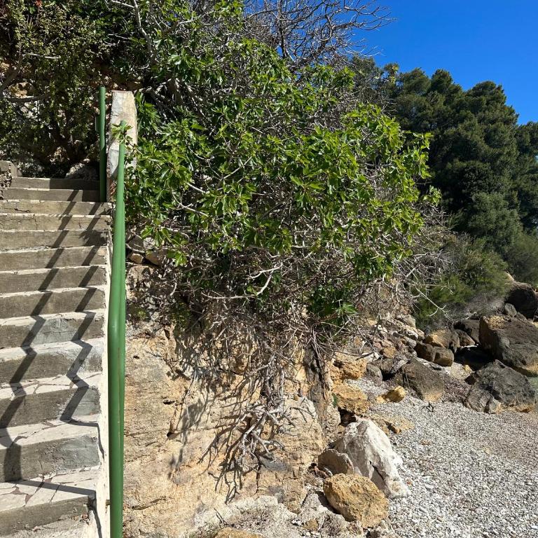 Terrazza sul mare Scopello - Casa con 2 Camere da Letto - 17