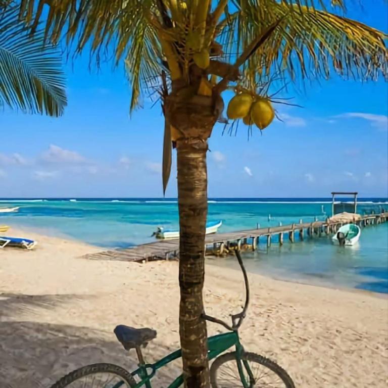 VILLA PRINCE, loft & rooftop, private pool & jaccuzi RIVIERA MAYA - Superior Villa - 50