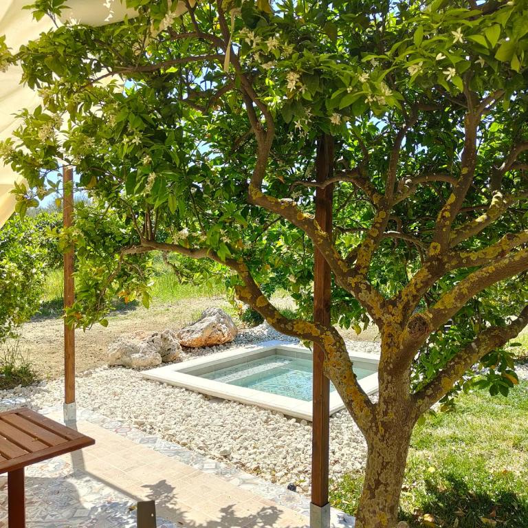 AgriBarocco - Suite con Piscina Privata - 13
