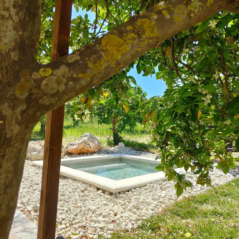 AgriBarocco - Suite con Piscina Privata - 12