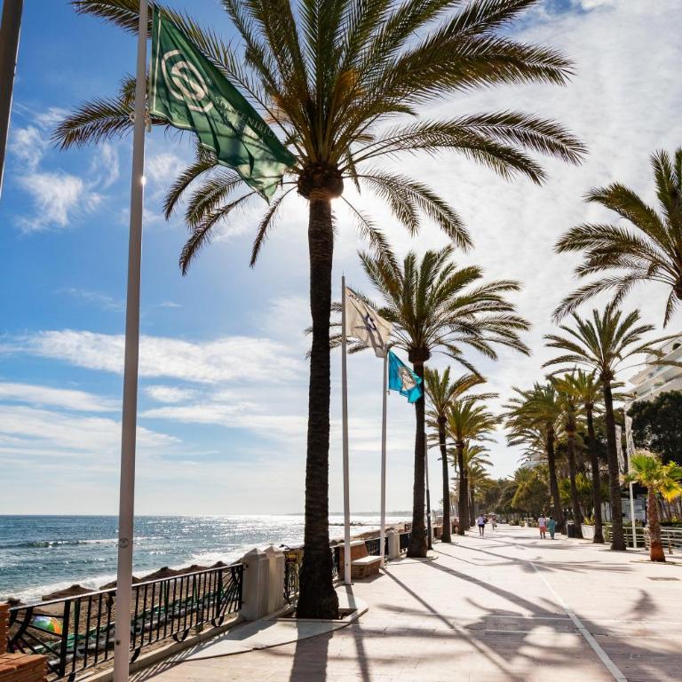 RENOVATED HOUSE IN OLD TOWN MARBELLA. - Casa de 4 dormitorios - 27