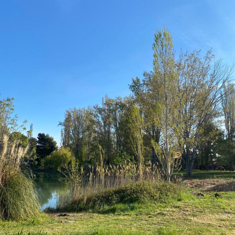 Joli studio Camargue Lou Rouge Arles - Appartement 1 Chambre - 41