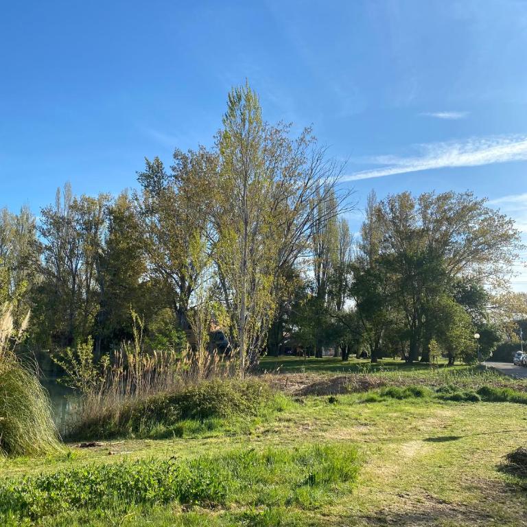 Joli studio Camargue Lou Rouge Arles - Appartement 1 Chambre - 40