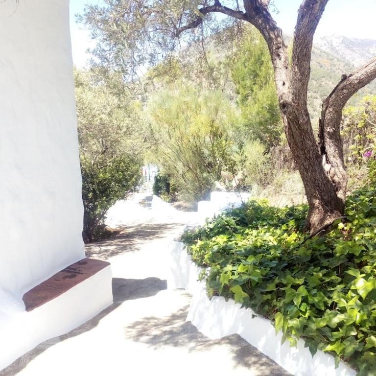 Cortijo Retama, Typical Andalusian Cottage, Romantic & Relax Villa by eastern Costa del Sol, in the countryside near Frigiliana town, at 12 kilometers from the beach - Casa de 2 dormitorios - 32