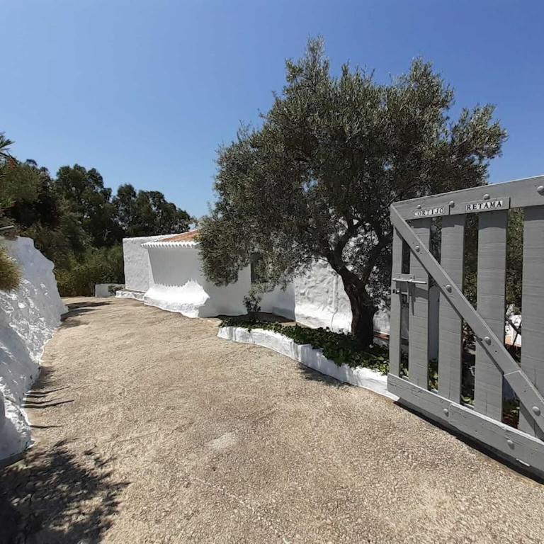 Cortijo Retama, Typical Andalusian Cottage, Romantic & Relax Villa by eastern Costa del Sol, in the countryside near Frigiliana town, at 12 kilometers from the beach - Casa de 2 dormitorios - 40