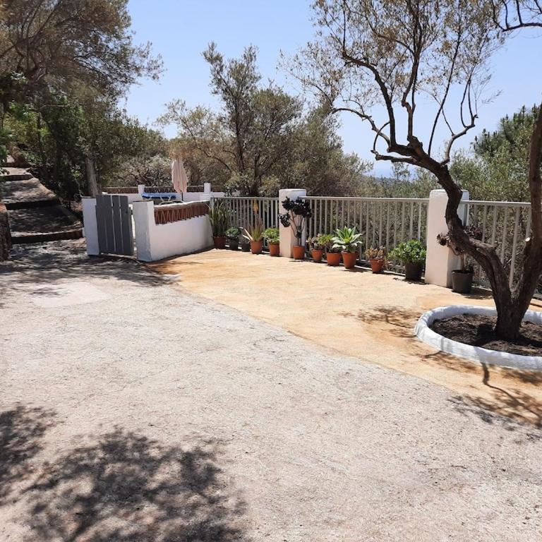 Cortijo Retama, Typical Andalusian Cottage, Romantic & Relax Villa by eastern Costa del Sol, in the countryside near Frigiliana town, at 12 kilometers from the beach - Casa de 2 dormitorios - 51