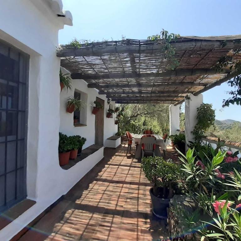 Cortijo Retama, Typical Andalusian Cottage, Romantic & Relax Villa by eastern Costa del Sol, in the countryside near Frigiliana town, at 12 kilometers from the beach - Casa de 2 dormitorios - 9
