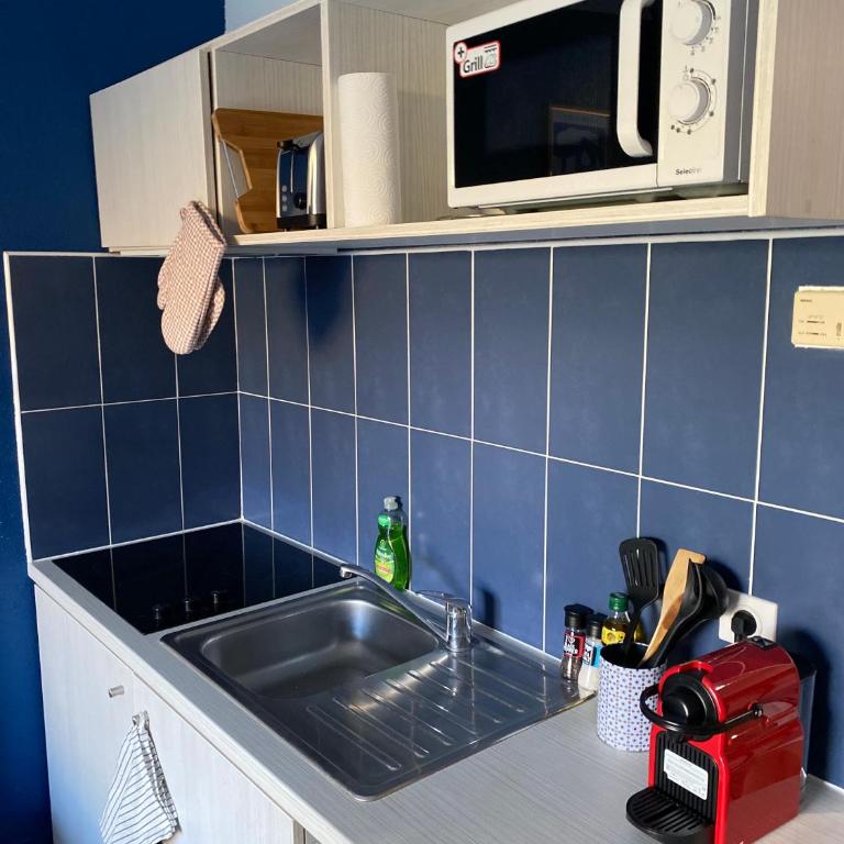Joli studio Camargue Petit Rhône Arles - Apartment mit 1 Schlafzimmer - 30