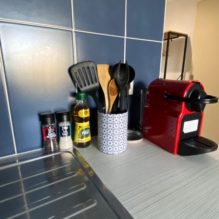 Joli studio Camargue Petit Rhône Arles - Apartment mit 1 Schlafzimmer - 31