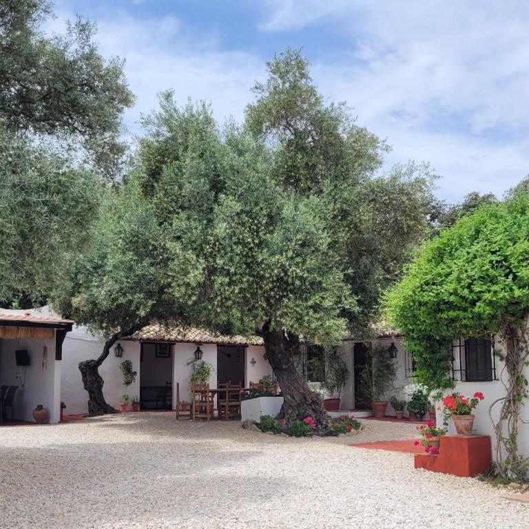Casa Abanto - Casa de 5 dormitorios - 1