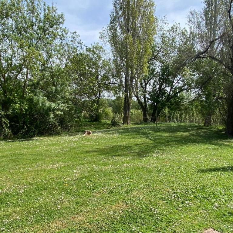 Joli studio Camargue Petit Rhône Arles - Apartment mit 1 Schlafzimmer - 46