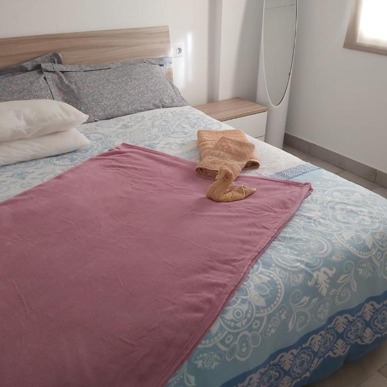 apartamento los gemelos - Apartamento de 1 dormitorio - 5