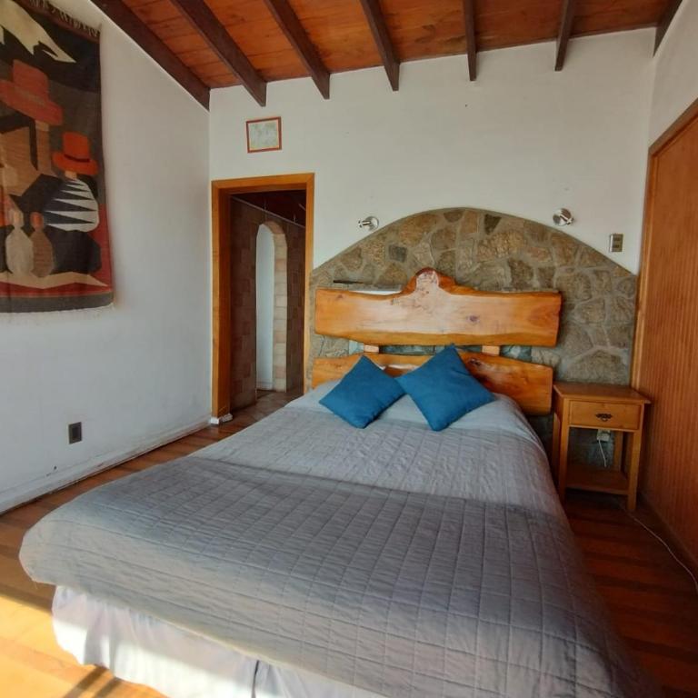Pingüino en la roca - Concón - Habitación Doble Estándar - 2