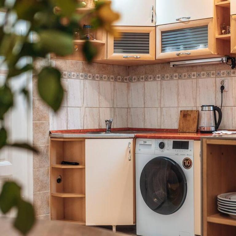 Rustic Central Belgrade Stay - Apartman sa 2 Spavaće Sobe - 16