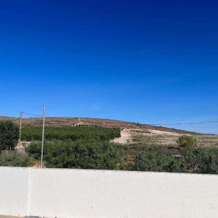 CORTIJO DEL LUCERO, FERNAN PEREZ - Casa de 3 dormitorios - 17