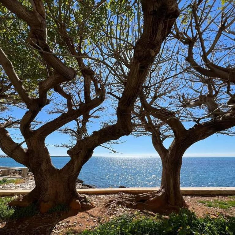 Appartamento Mare Blu - Two-Bedroom Apartment with Sea View - 35