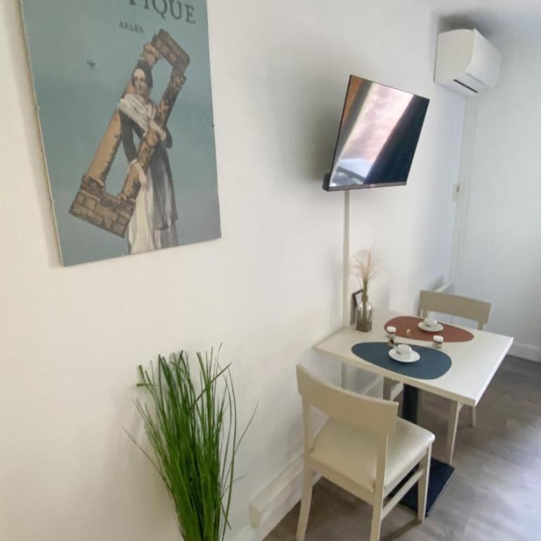 Joli studio Camargue Petit Rhône Arles - Apartment mit 1 Schlafzimmer - 22