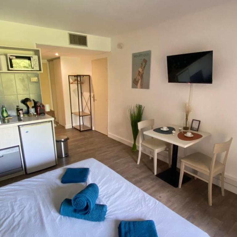 Joli studio Camargue Petit Rhône Arles - Apartment mit 1 Schlafzimmer - 18