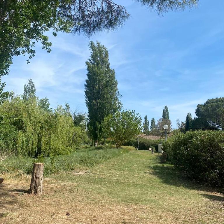 Joli studio Camargue Petit Rhône Arles - Apartment mit 1 Schlafzimmer - 41