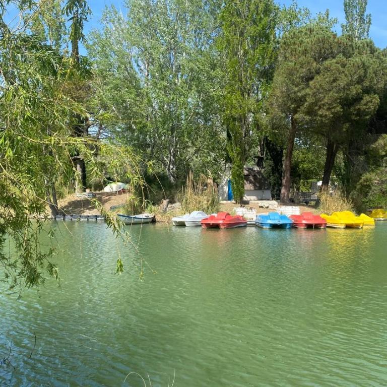 Joli Appartement 27m2 Oasis Provençale en village vacances en Camargue - Appartamento con 1 Camera da Letto - 39