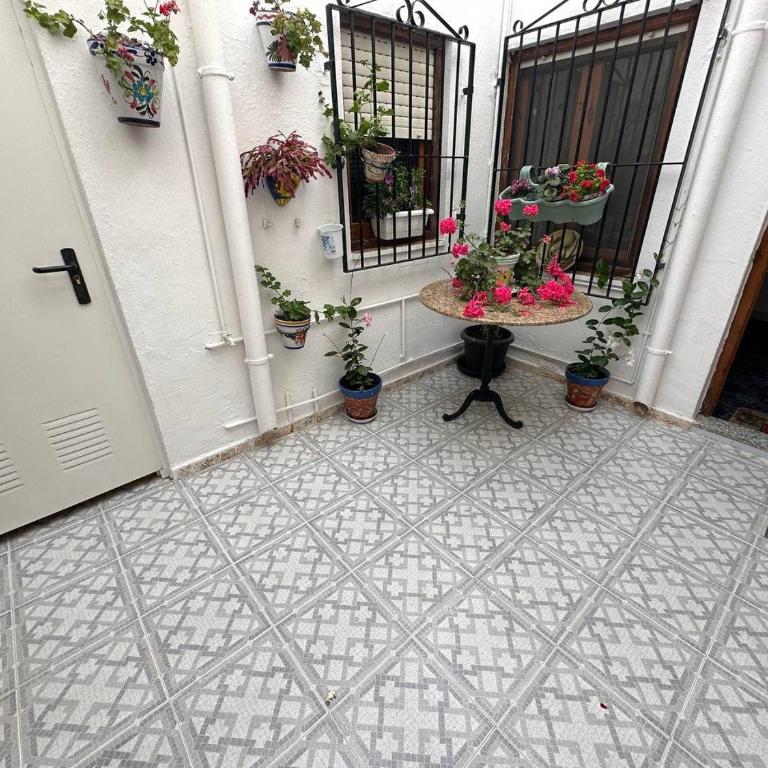 LA SORIANA - Casa de 3 dormitorios - 15