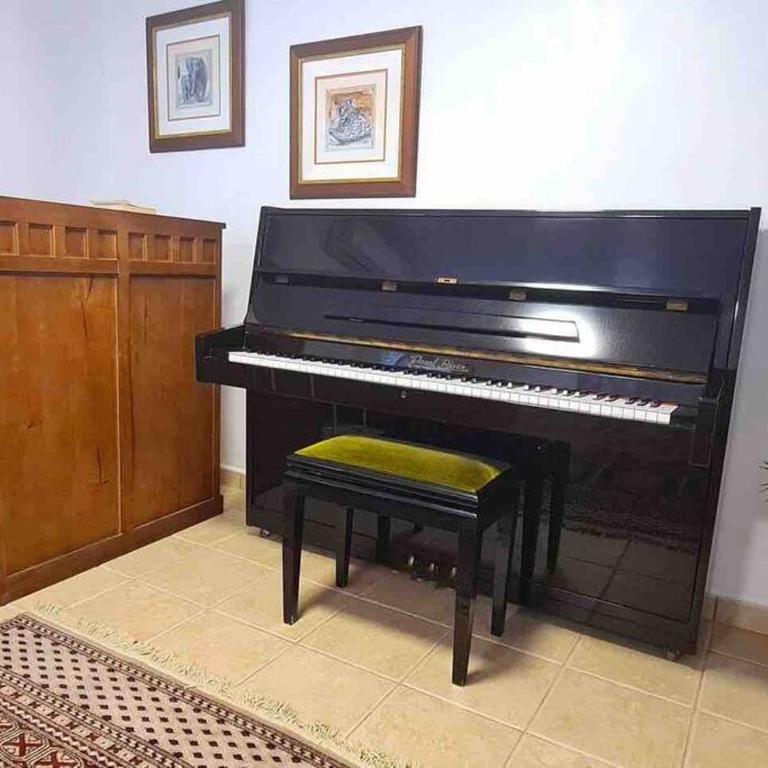 The Luxury Villa at Pleamar 30 Holiday Rental, Punta Prima, Torrevieja - Villa Superior - 25