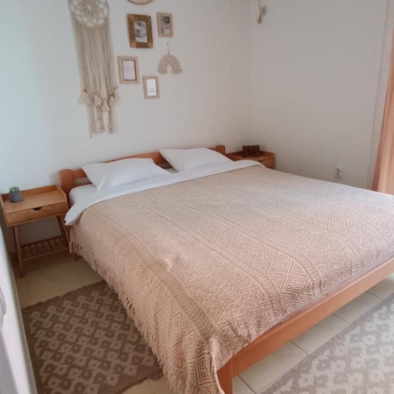 Bird Apartment - One-Bedroom Apartment - 13