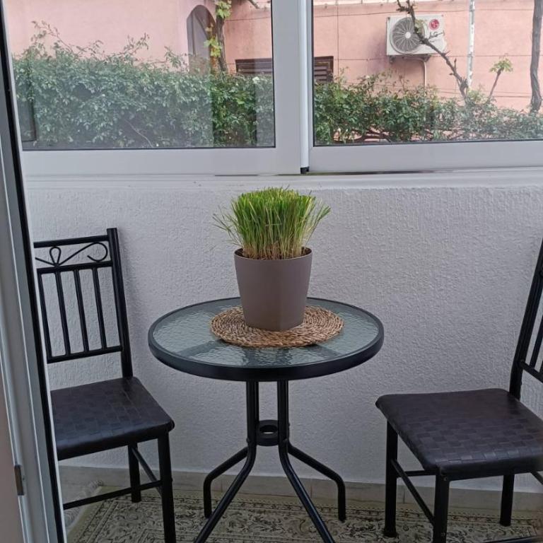 Bird Apartment - One-Bedroom Apartment - 14