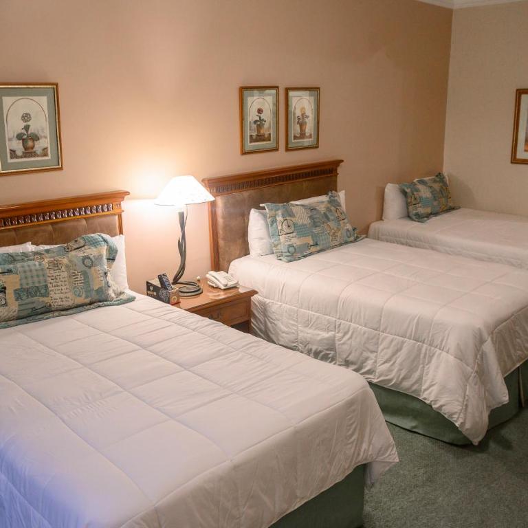 Granados Park Hotel - Junior Suite - 3