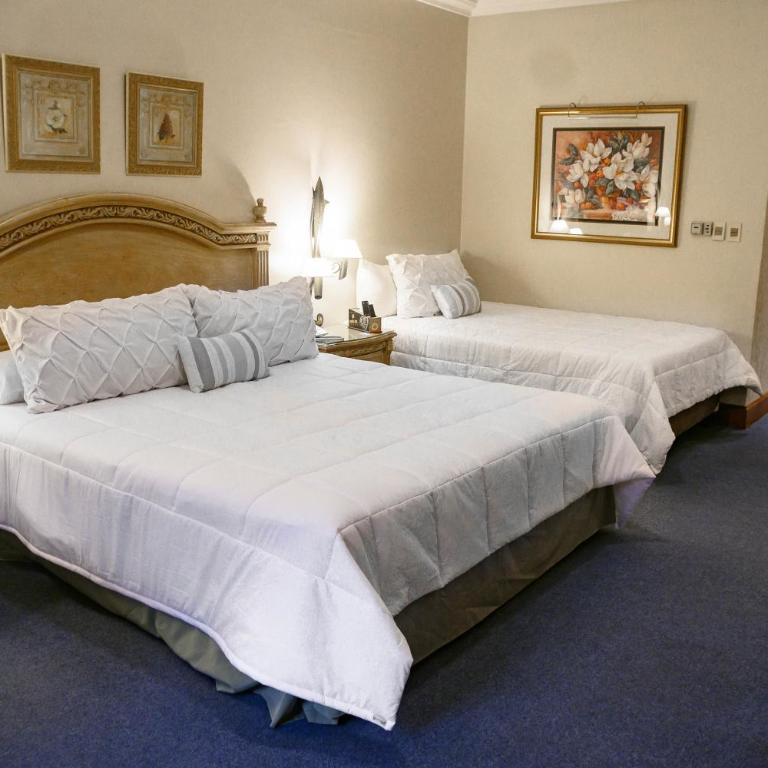 Granados Park Hotel - Suite Deluxe - 3