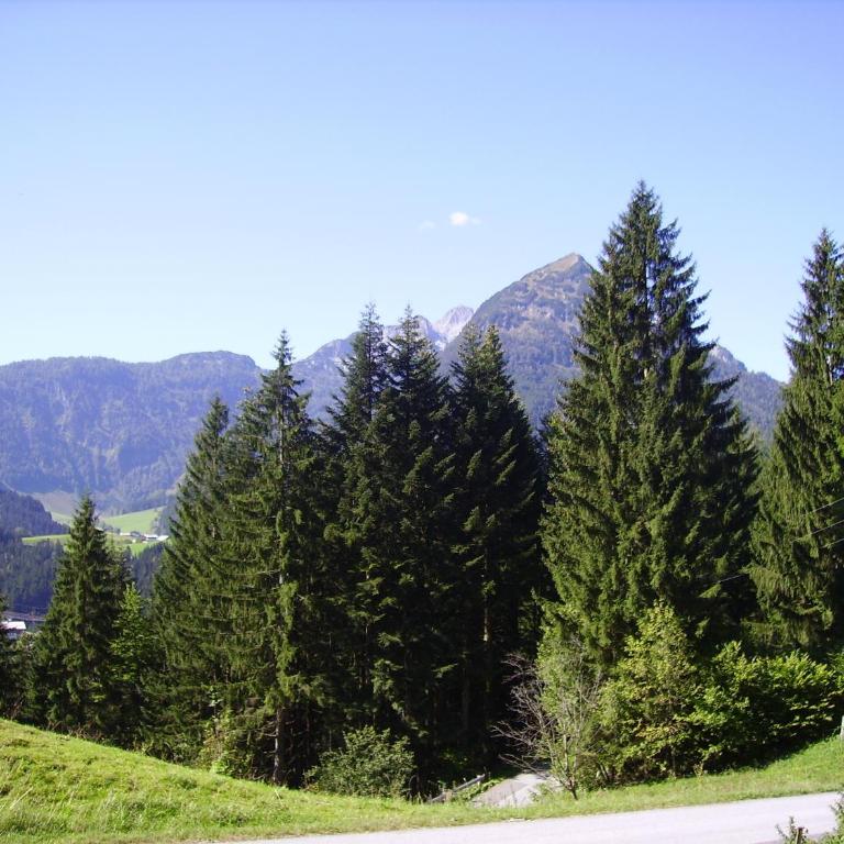 Haus Unterdieterer - Ferienhaus - 20
