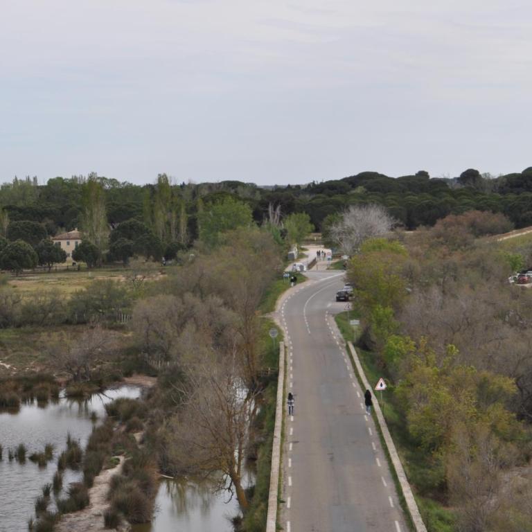 Vacances en Camargue proche de la mer climatisé - Appartement 2 Chambres - 19