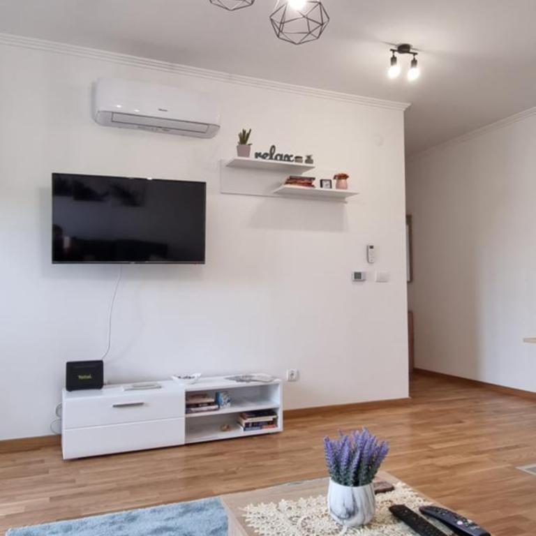 Apartman Visnja - One-Bedroom Apartment - 22