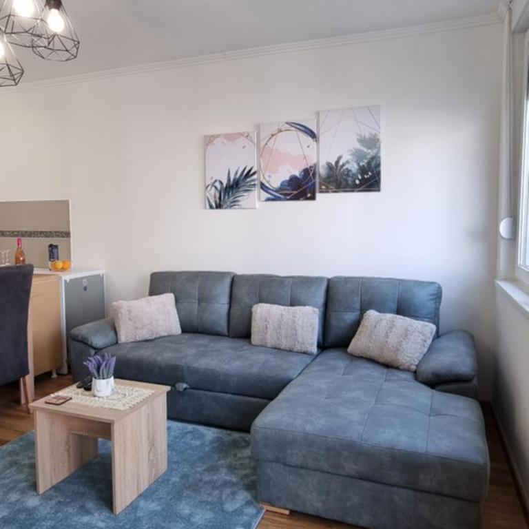 Apartman Visnja - One-Bedroom Apartment - 31