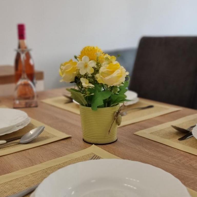 Apartman Visnja - One-Bedroom Apartment - 36