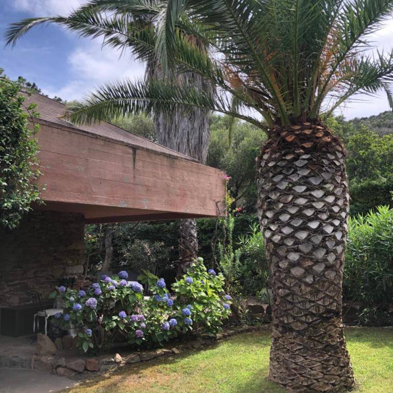 Villa 4 - Villa con Vista Mare - 29