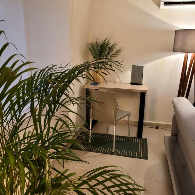Departamento Céntrico y Moderno en Cancún. - Apartamento de 1 dormitorio - 35