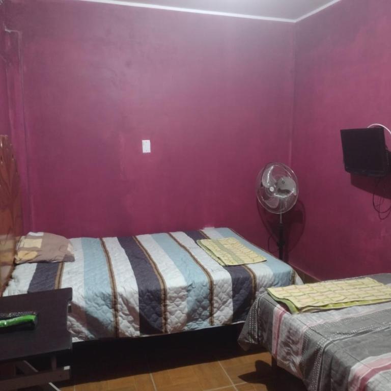 flying monkey hostel - Twin Room - 2