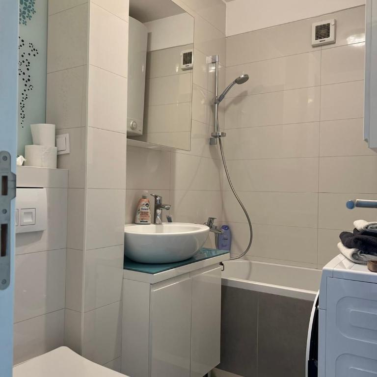 APARTMAN IRIS - Apartman sa 1 Spavaćom Sobom - 12