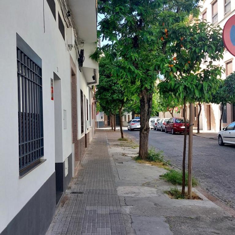 Loft Flor de Azahar parking privado - Apartamento de 1 dormitorio - 22
