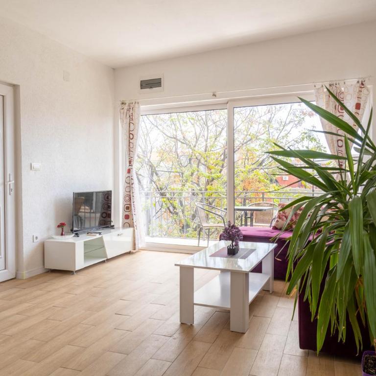 Apartmani Marojević, Bar - Two-Bedroom Apartment - 13