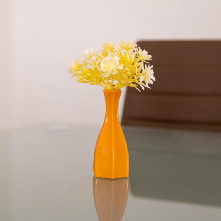 Apartmani Marojević, Bar - Apartman - 7