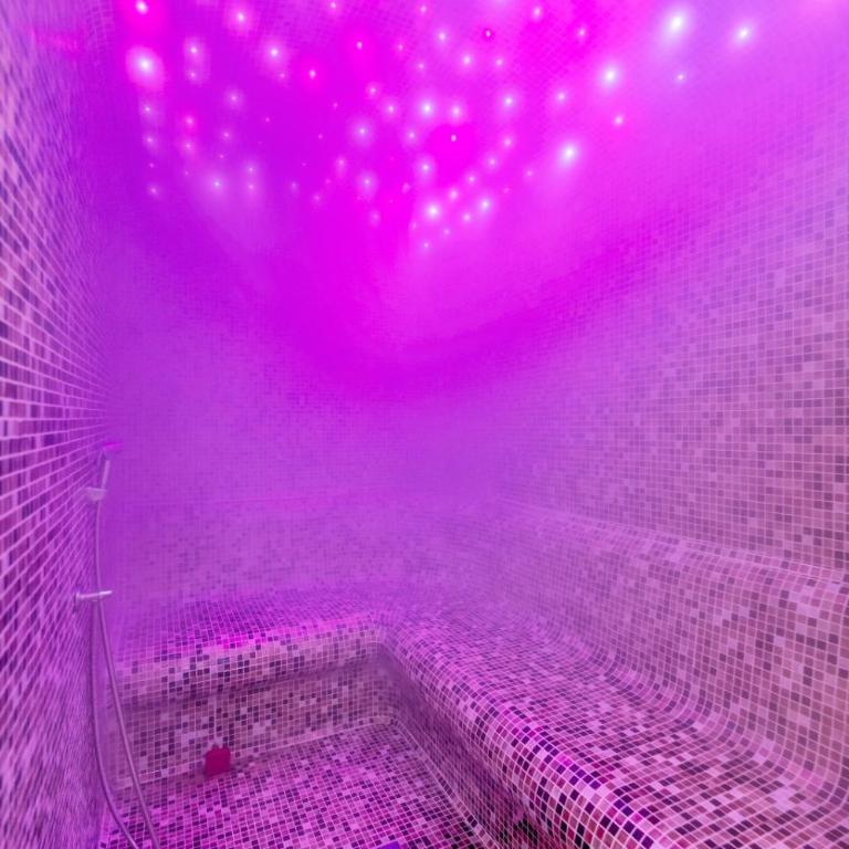 Vila Zlatibor luxury & spa - Apartman sa 1 Spavaćom Sobom - 23