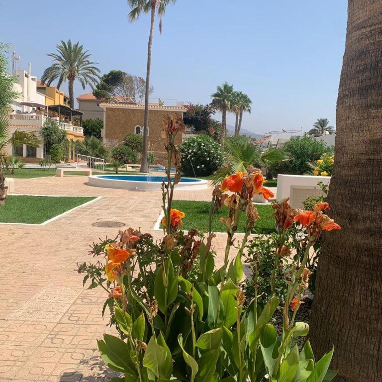 BUNGALOW PIE DE PLAYA B30 - Villa de 2 dormitorios - 18