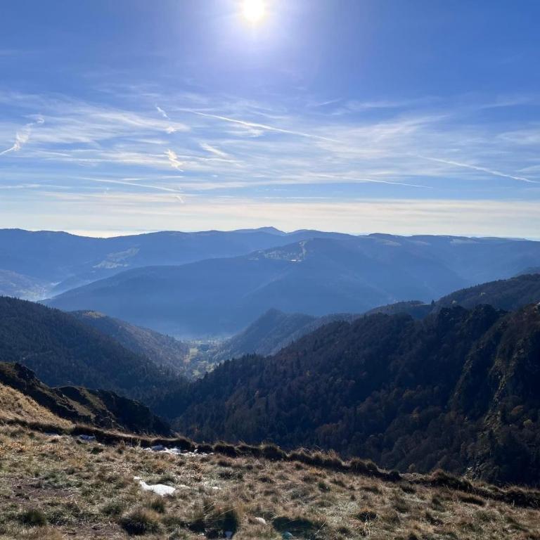 Ma Montagne Chic 3 - Appartamento con 1 Camera da Letto - 15