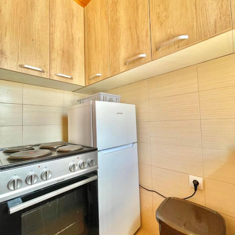 Family Two-bedroom apartment Zabljak - Two-Bedroom Apartment - 17