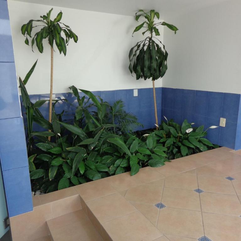 GS Cuernavaca Drive Inn - Adults Only - Suite Master - 7